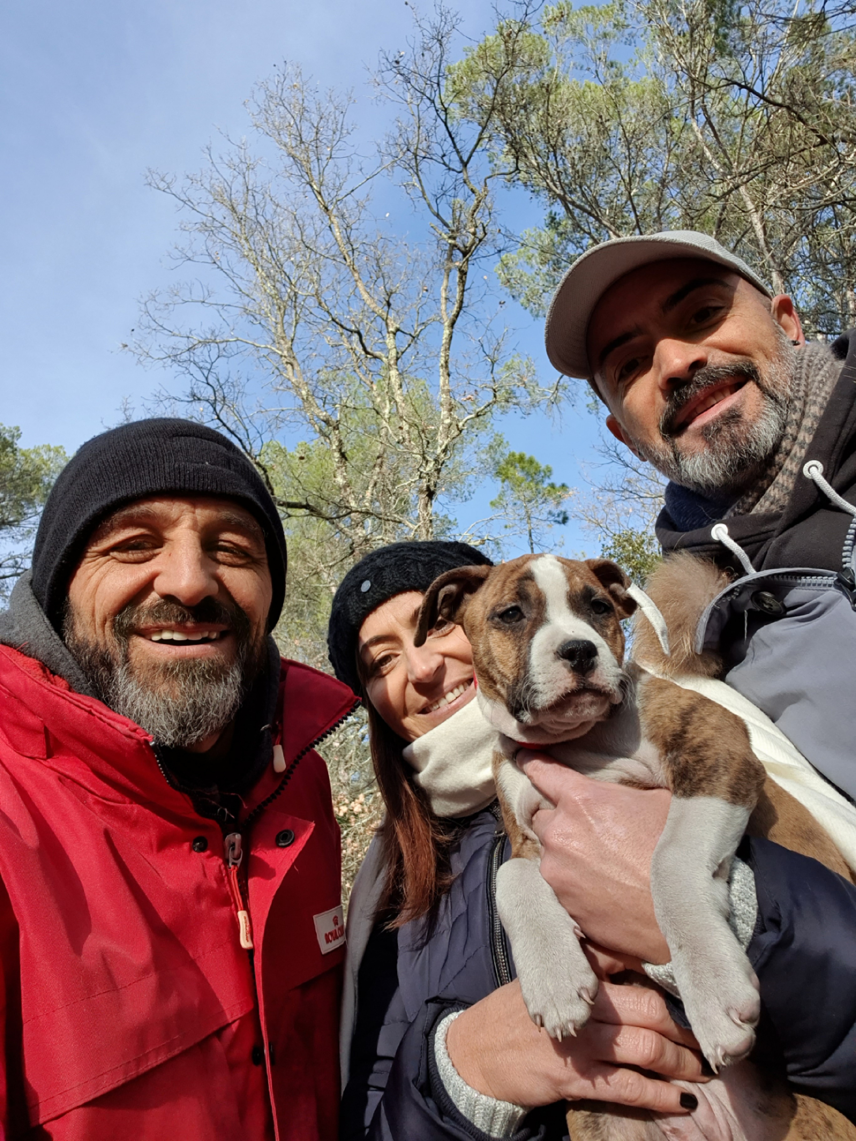 accompagnement dressage canin var