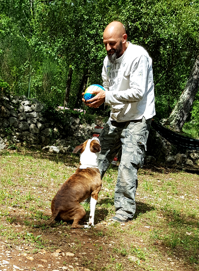 educateur canin vidauban
