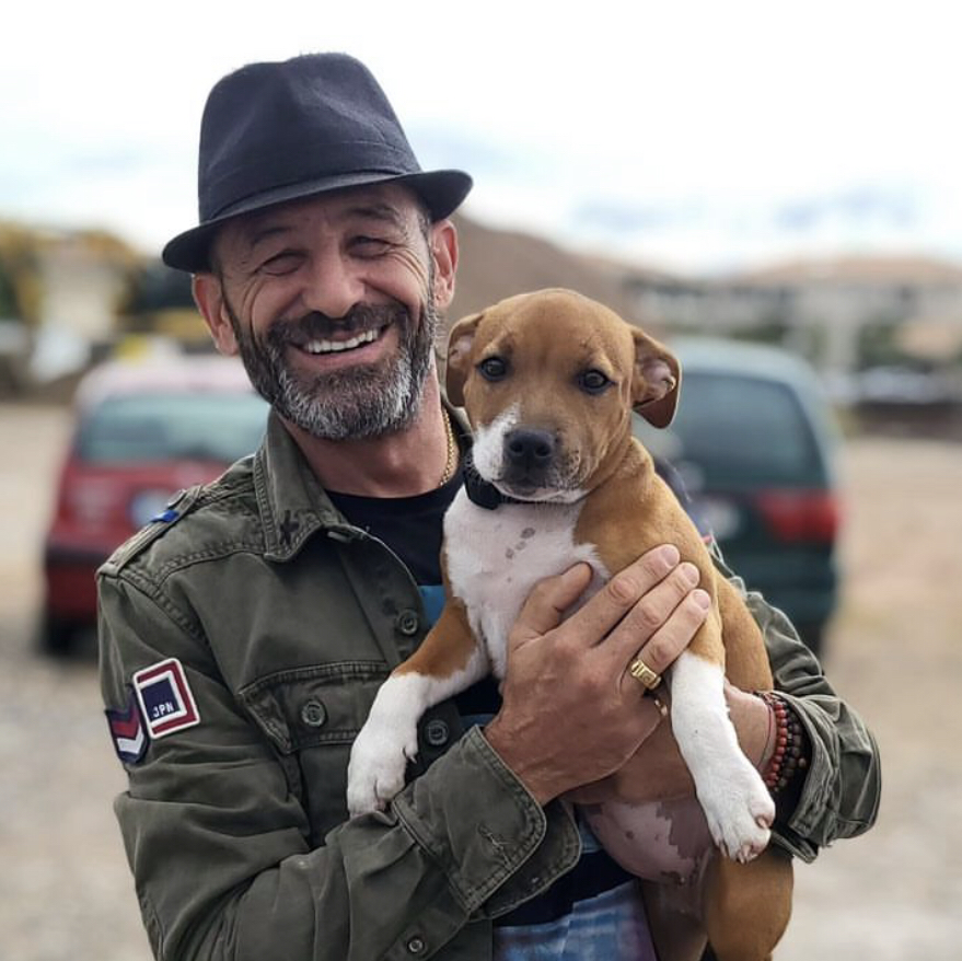 education des chiots var