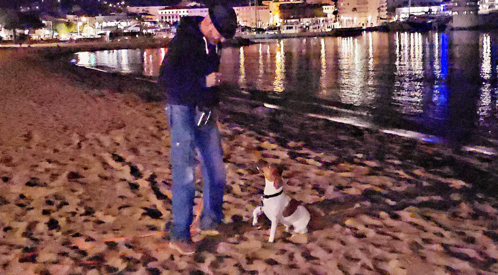 comportementaliste canin vidauban