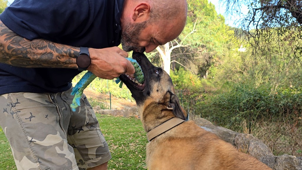 comportementaliste canin brignoles