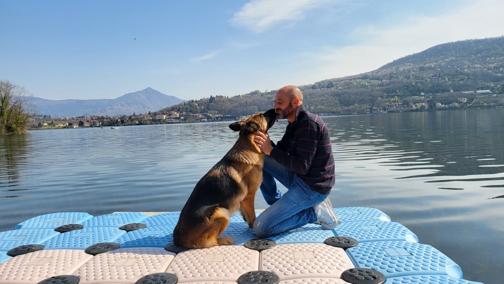 La phytothérapie pour renforcer les défenses naturelles du chien