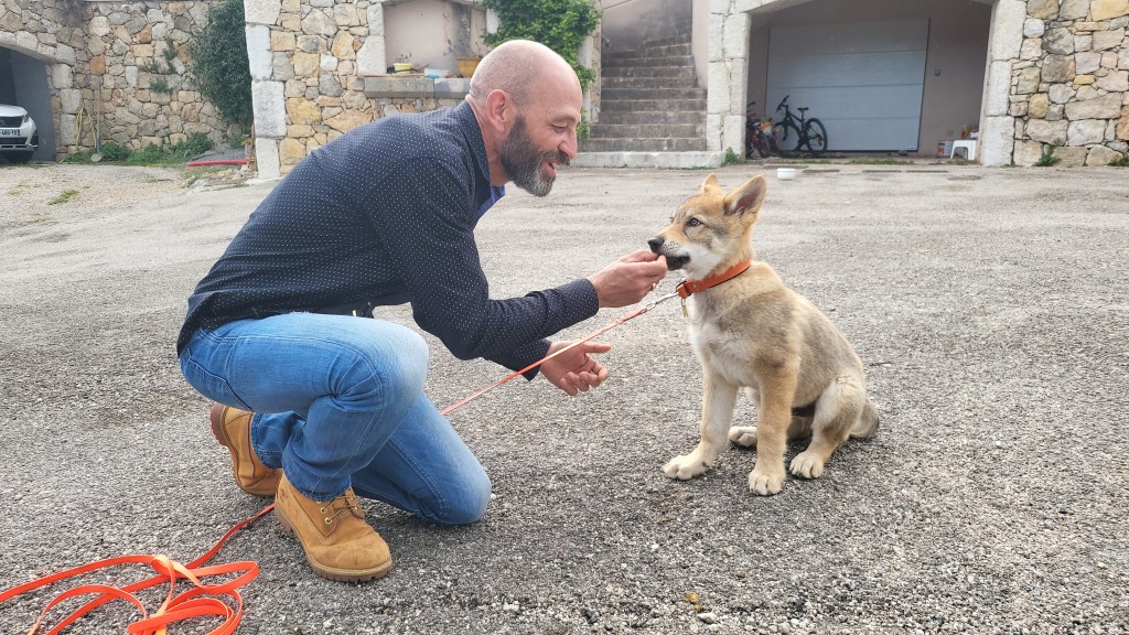 Vermifugation du chien : pourquoi vermifuger, comment et à quelle fréquence&nbsp;?
