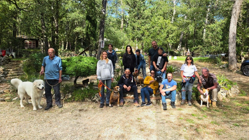 Séance d&rsquo;éducation canine le 26 octobre à&nbsp;Callas