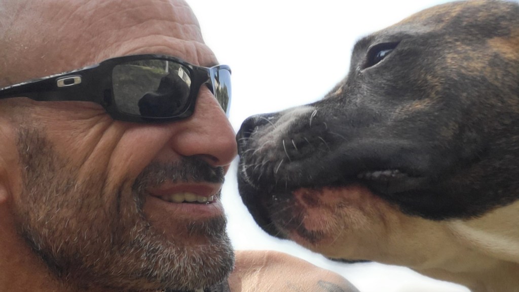 education canine mougins