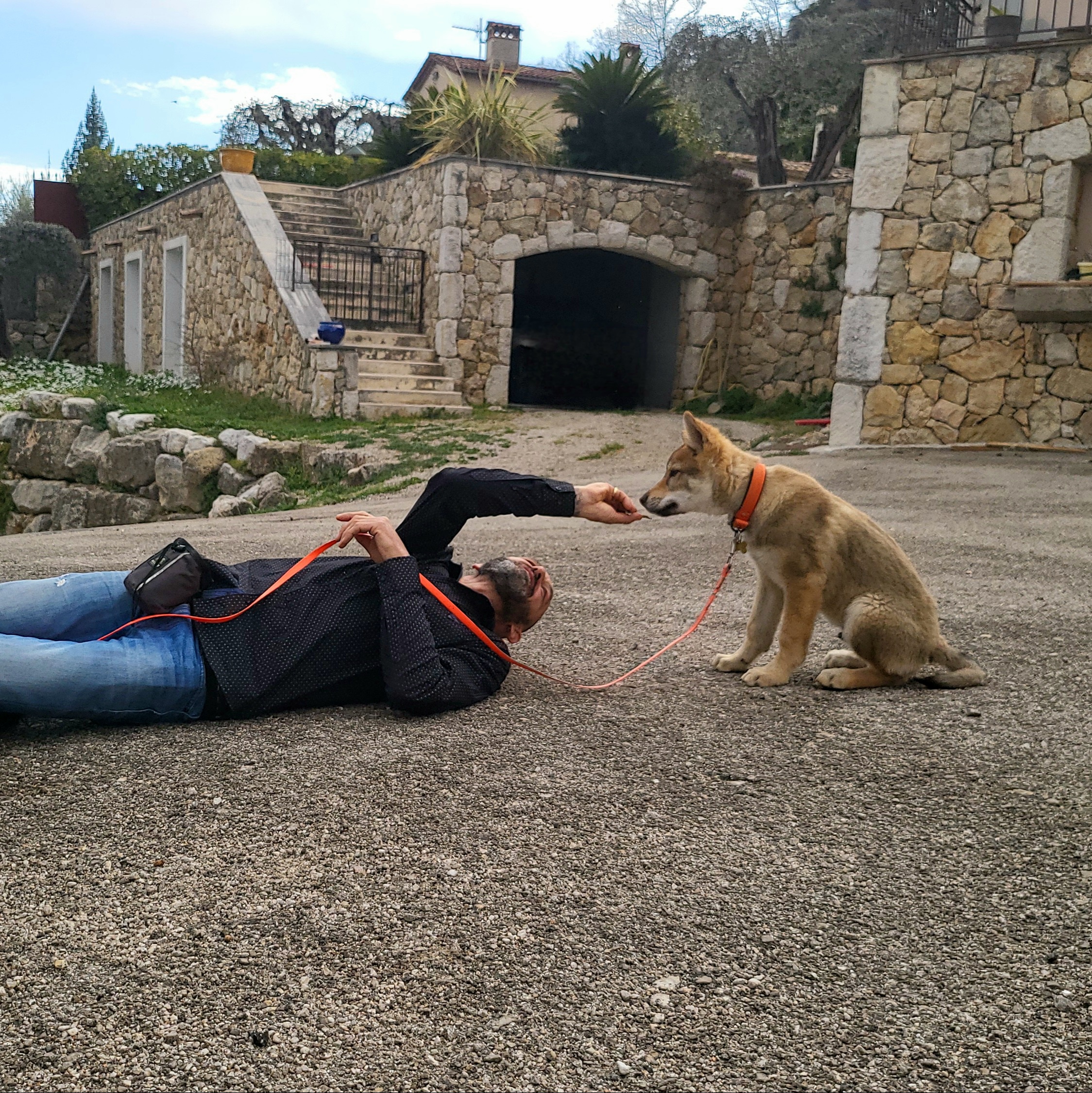 education canine chiot mougins