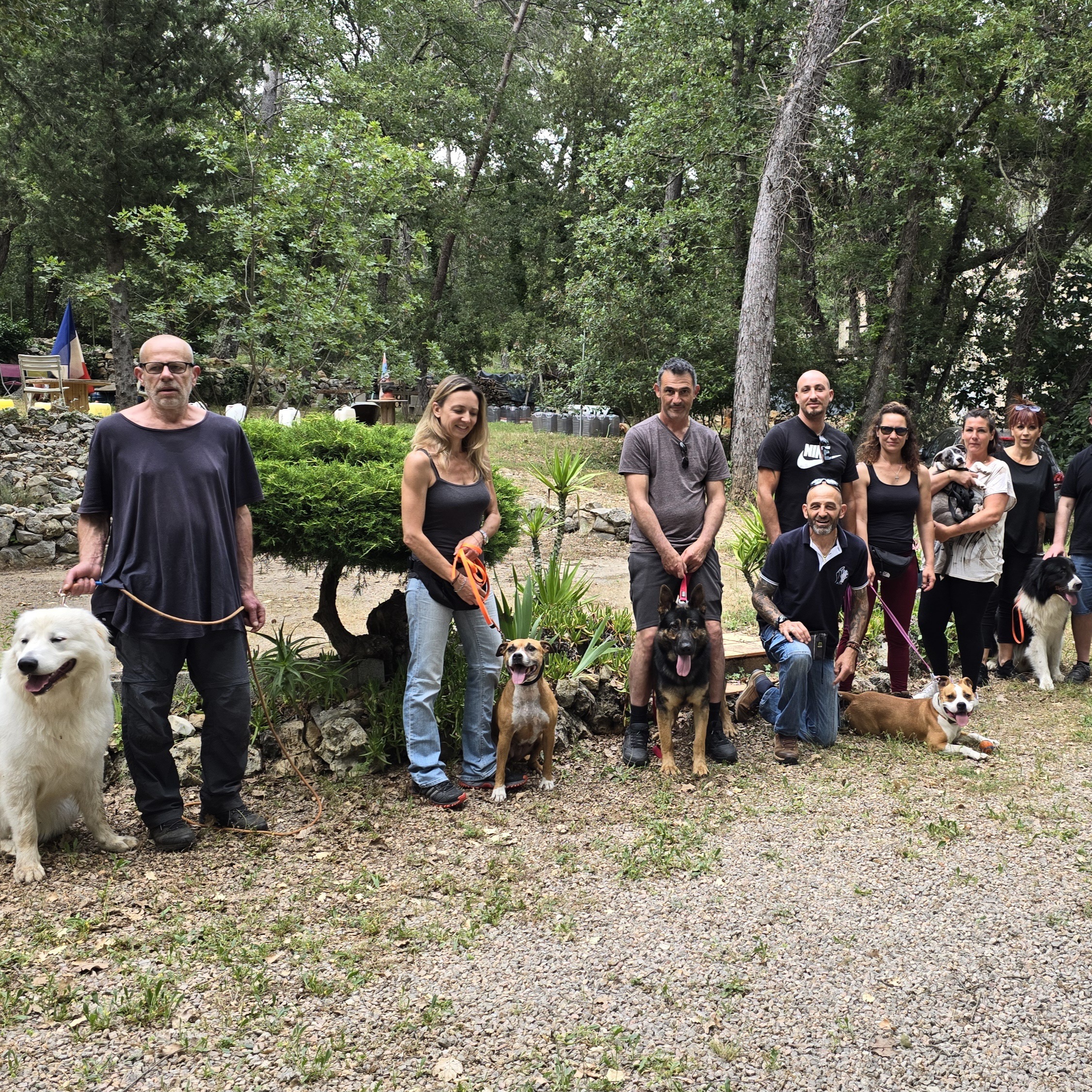 éducation canine collective var