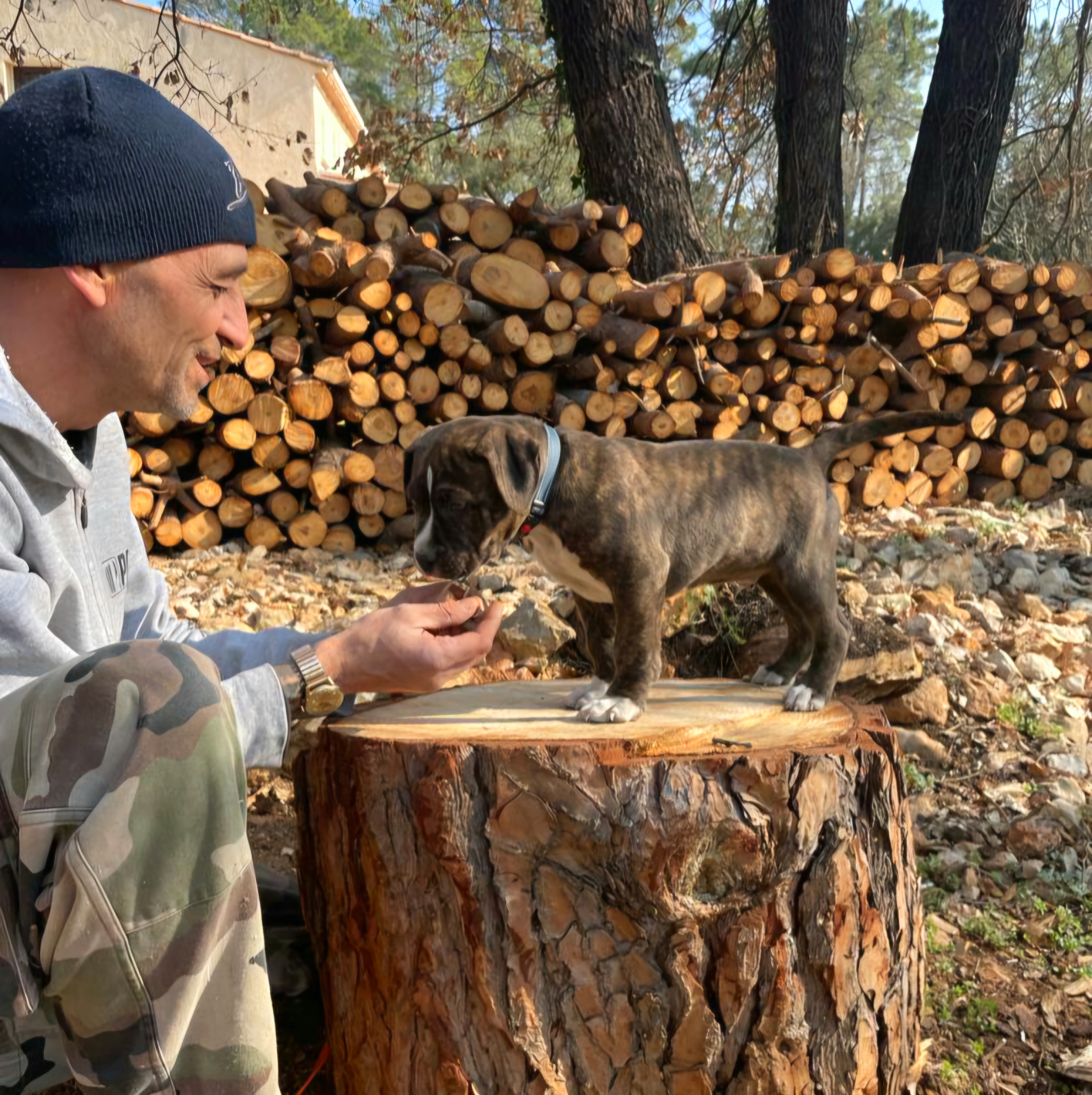 éducation canine chiot draguignan