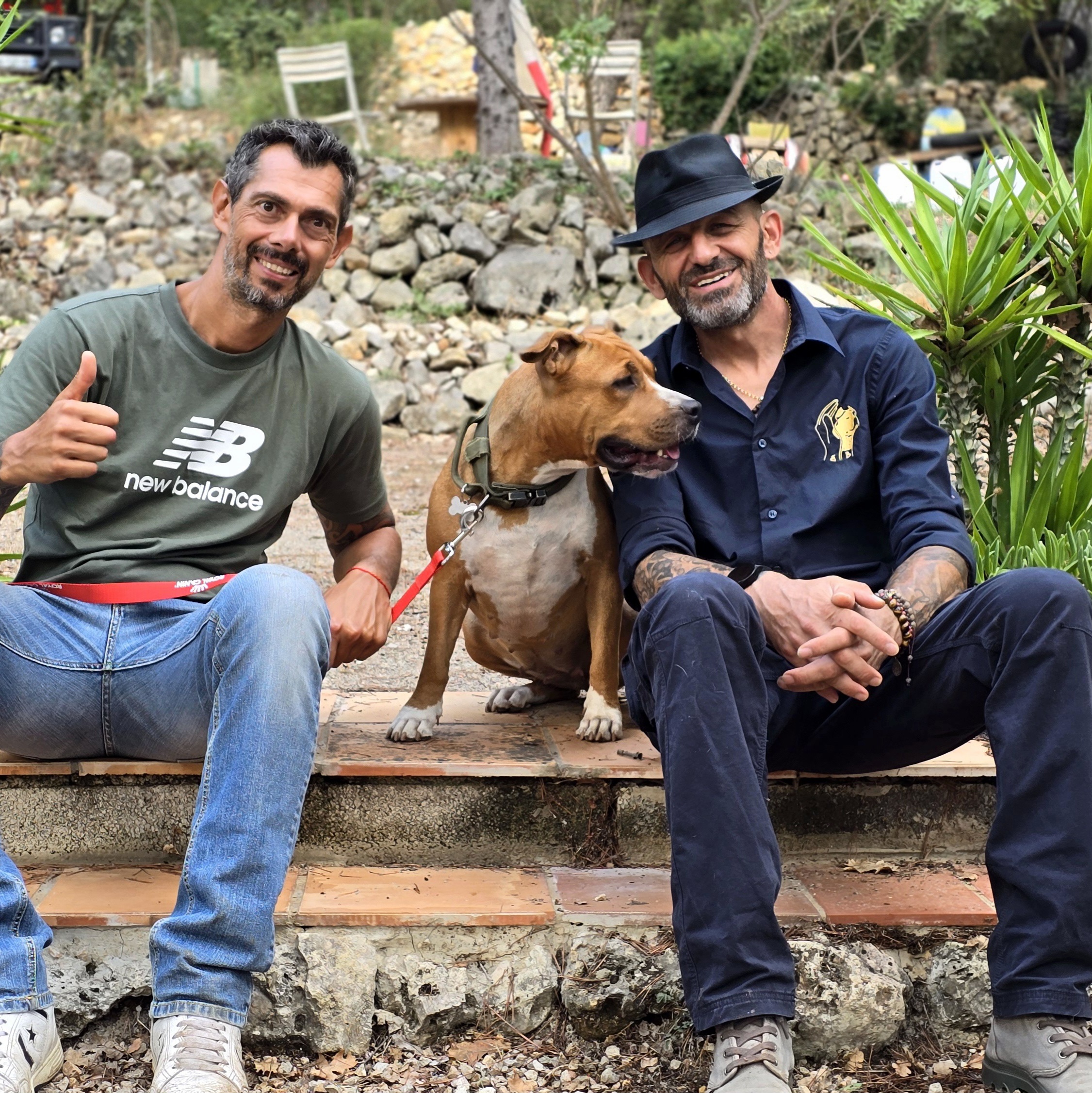 Comportementaliste canin saint tropez