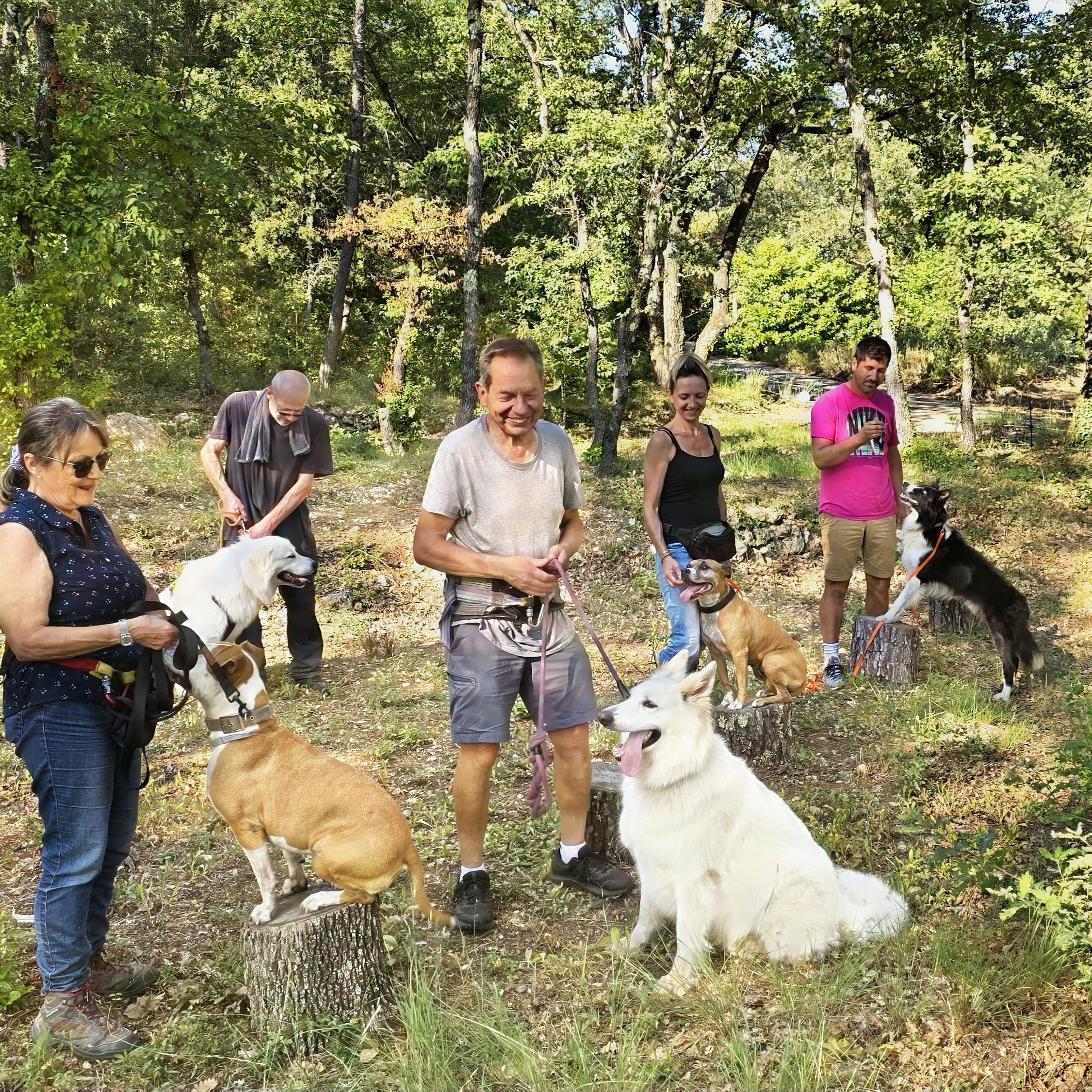 éducation canine collective draguignan