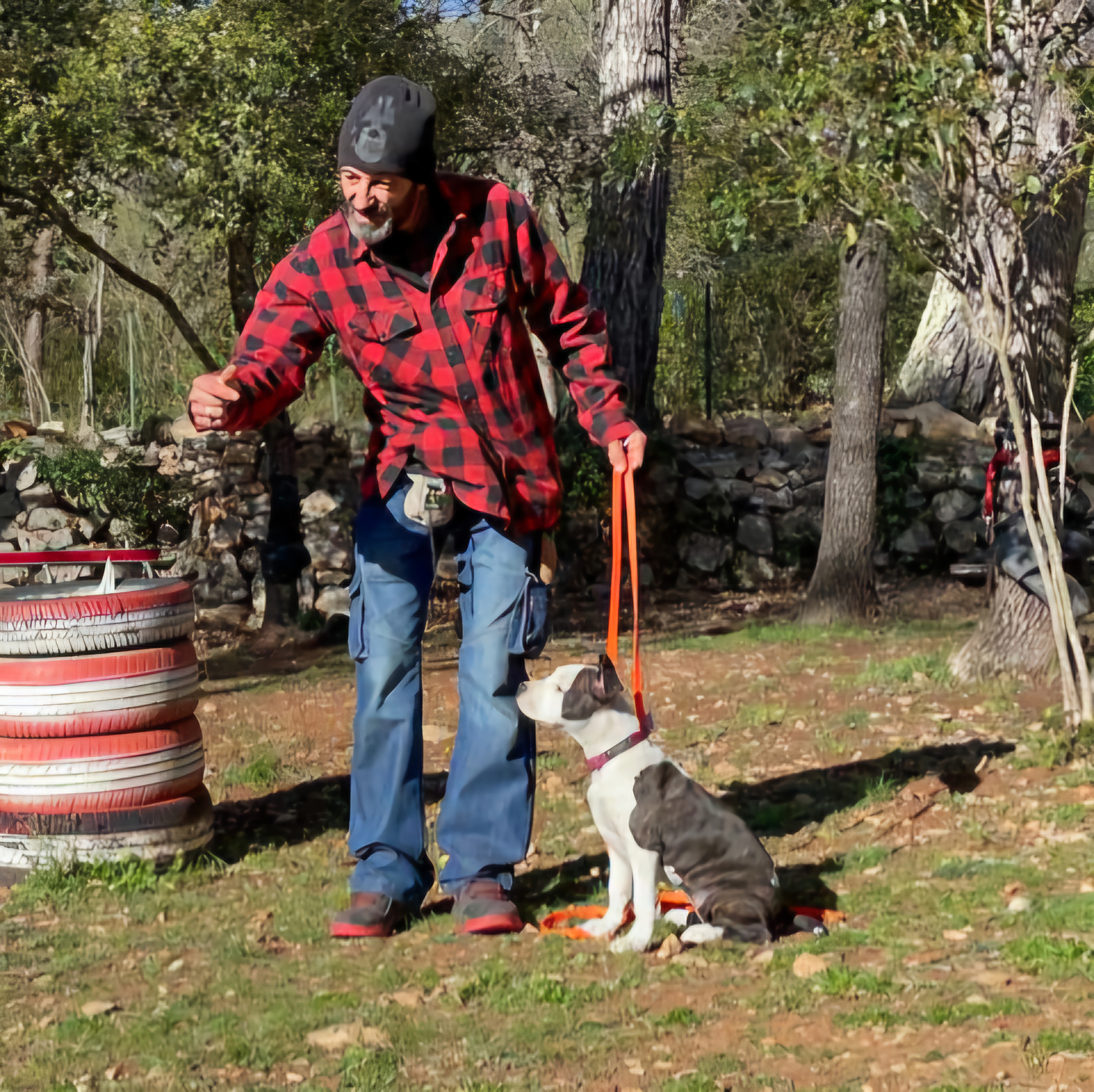 éducation canine chiot saint tropez