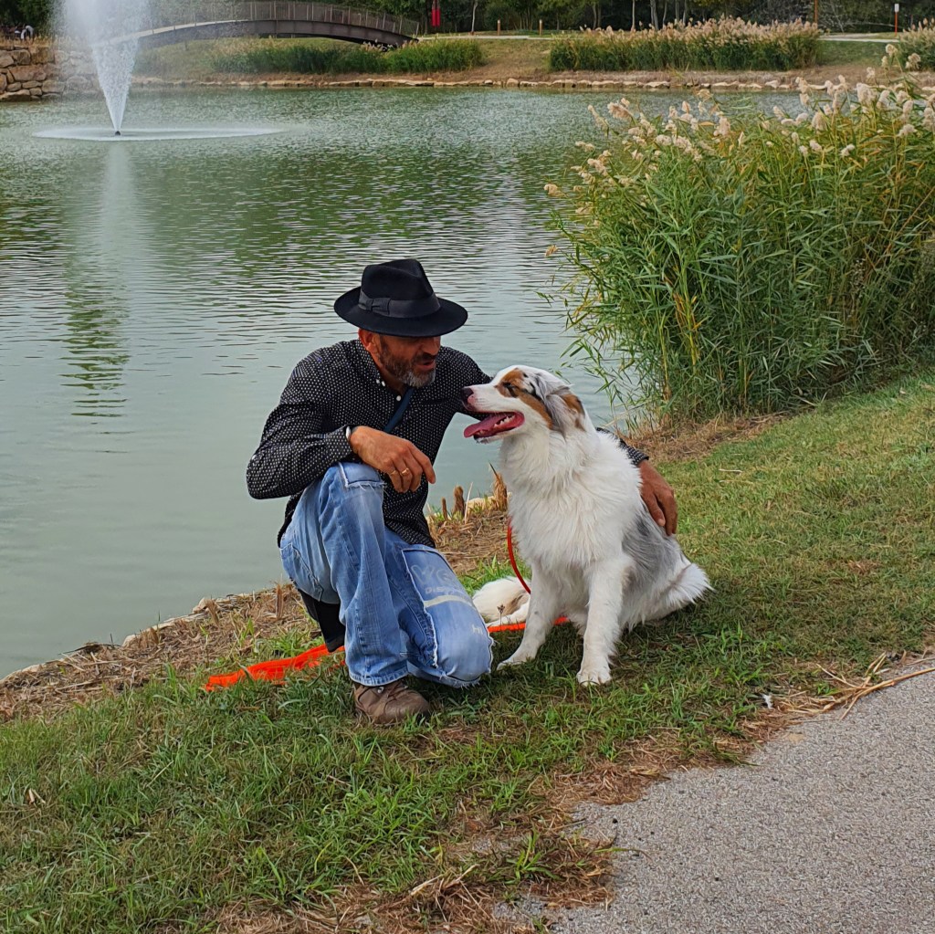 éducateur canin berger australien vidauban