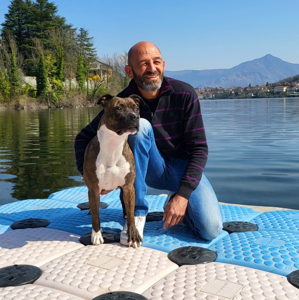 educateur canin american staff vidauban