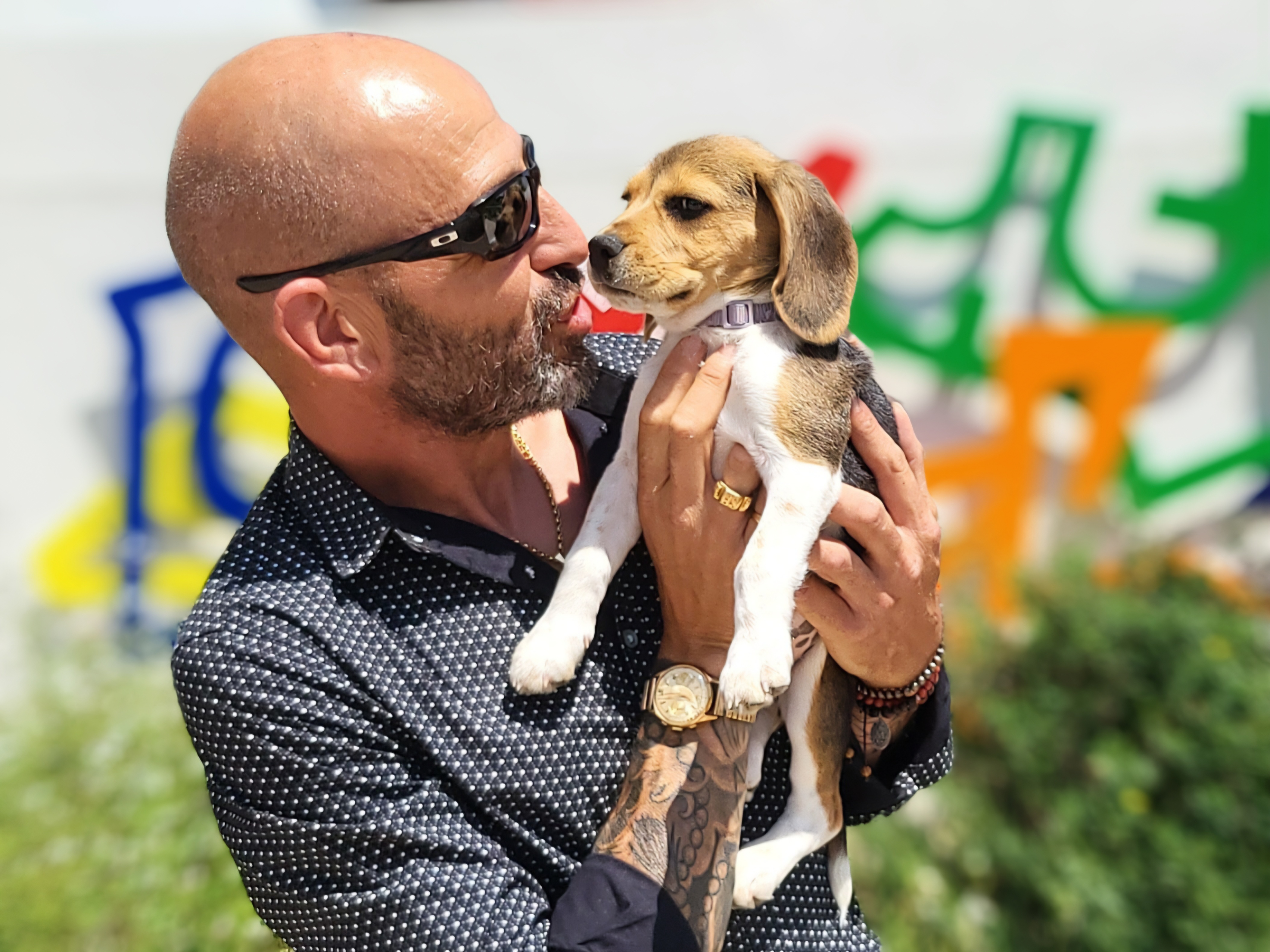 éducateur canin chiot le cannet