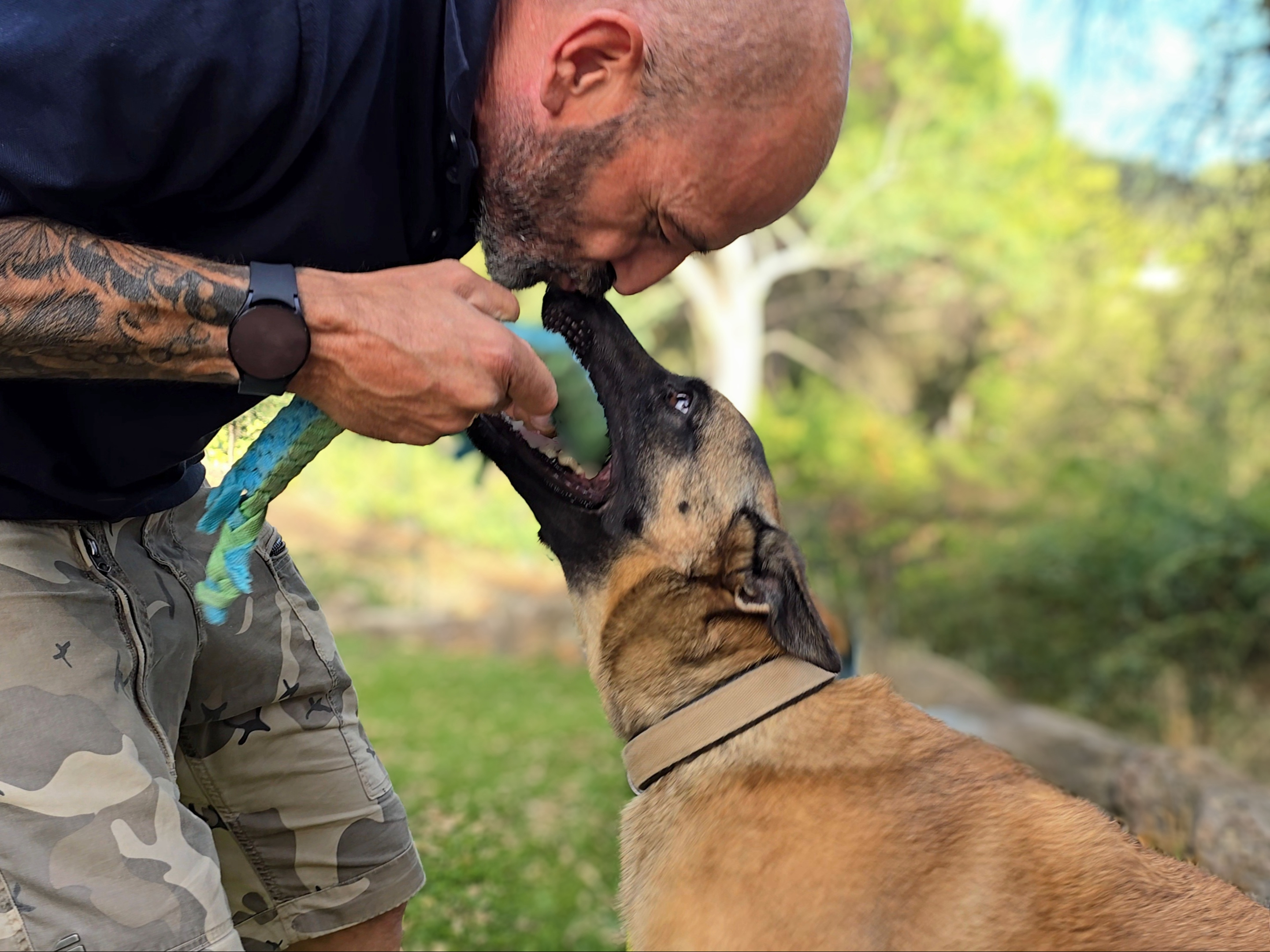 pension pour chien le cannet