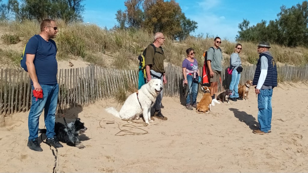 educateur canin mougins
