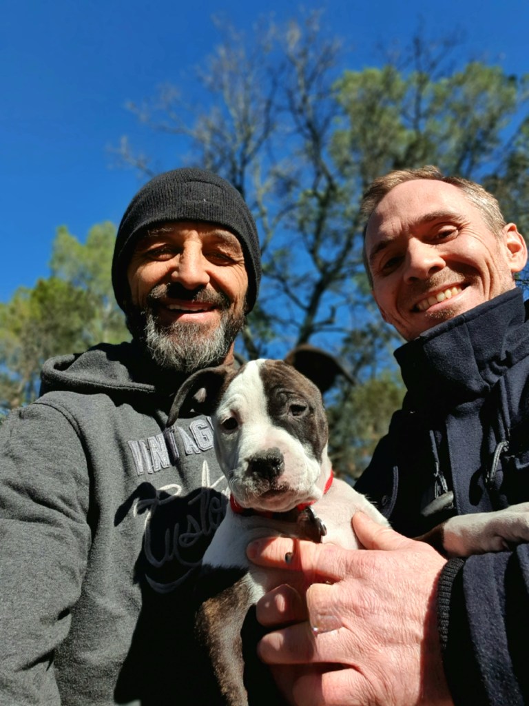 accompagnement comportementaliste canin var