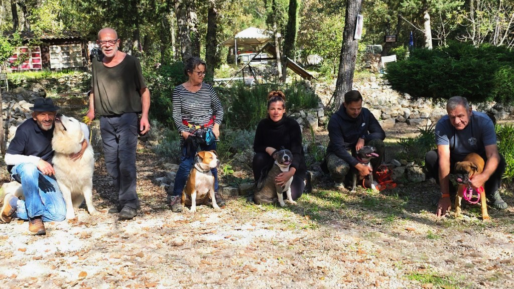 Séance d&rsquo;éducation canine à Callas le 23&nbsp;novembre