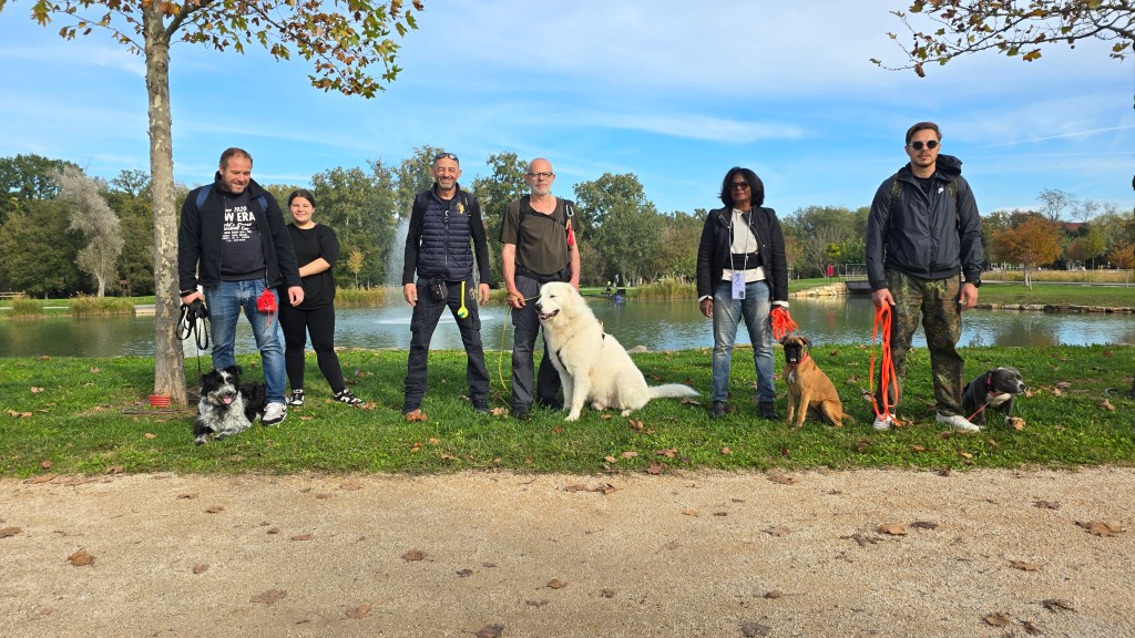 Séance d&rsquo;éducation canine au Parc de Loisirs de Vidauban le 16&nbsp;novembre
