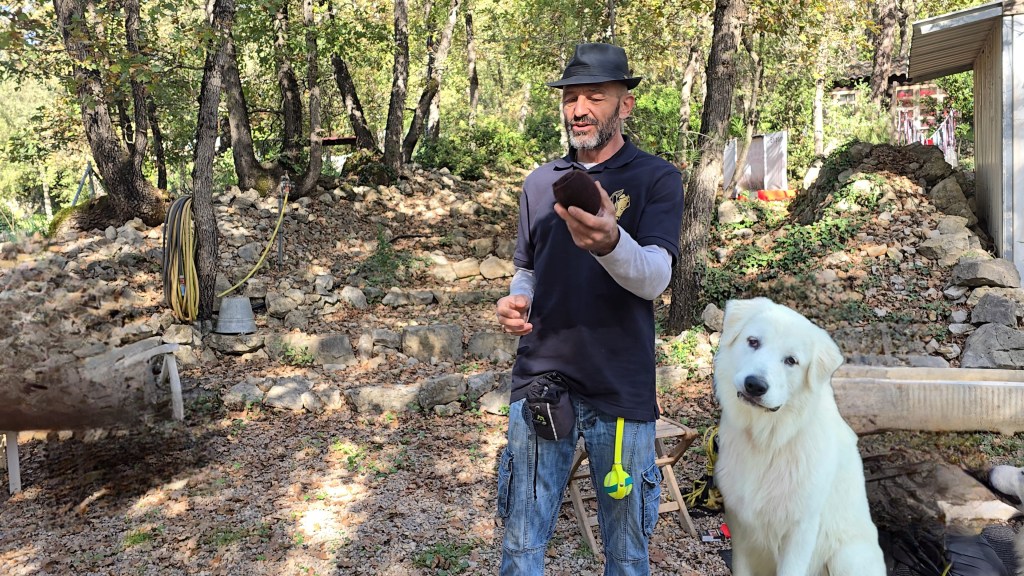 comportementaliste canin var