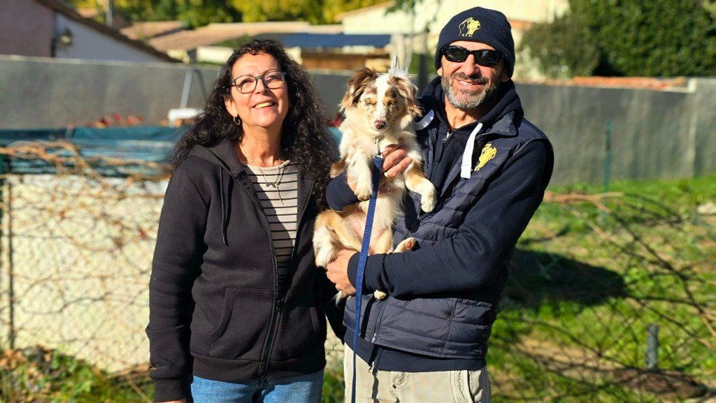 Éducation canine l&rsquo;importance des 6 premiers&nbsp;mois