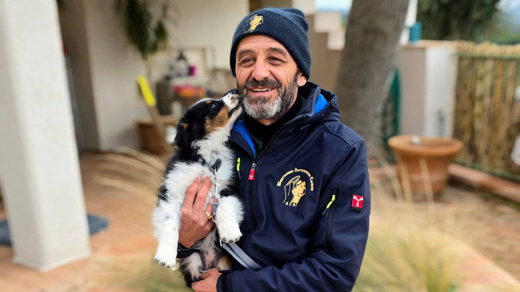 Ne pas acquérir un Chiot (ou un Chien) à n&rsquo;importe quel moment&nbsp;!