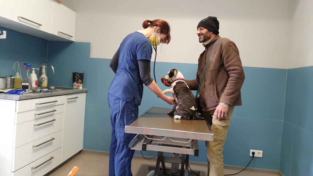 Conseils et avis sur l&rsquo;assurance santé pour son&nbsp;chien