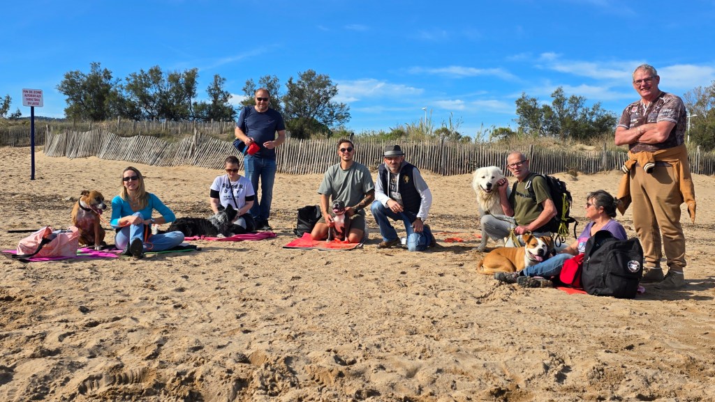 education canine cours collectif french riviera