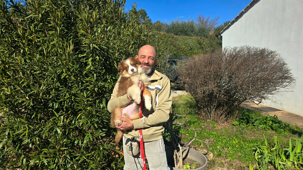 Choix et sélection du Chiot ou du Chien… Informations&nbsp;importantes