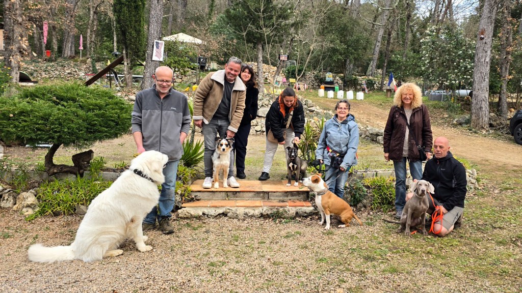 education canine cours collectif paca