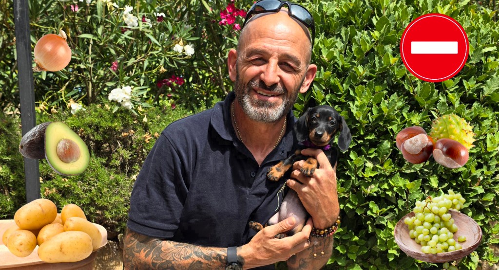 5 fruits et légumes à ne surtout pas donner à votre Chien (ou tout autre animal)&nbsp;!