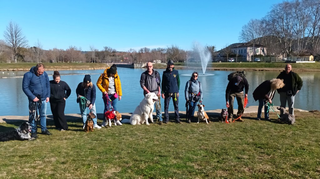 education canine cours collectif vidauban