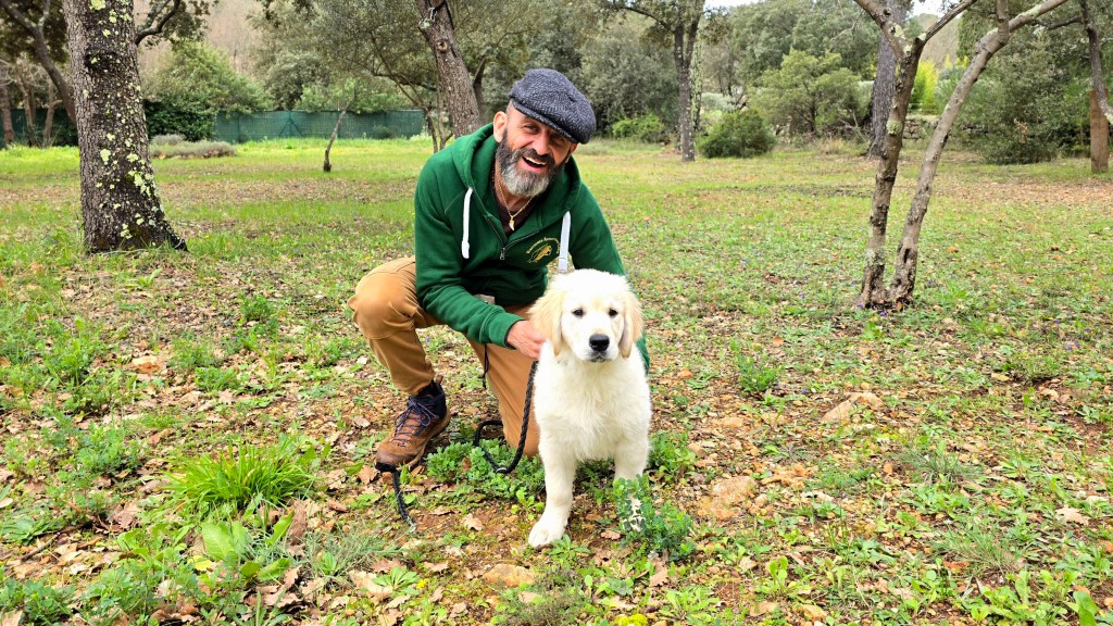 Troubles du comportement : La stérilisation n&rsquo;est pas forcément la&nbsp;solution