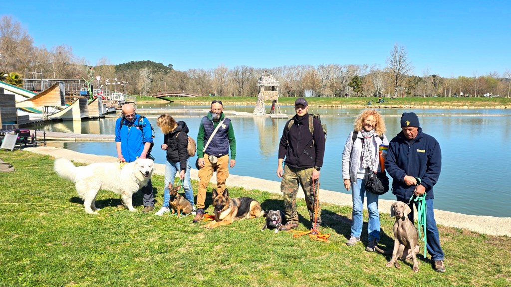 Séance d&rsquo;éducation canine au Parc de Loisirs de Vidauban le 2&nbsp;novembre
