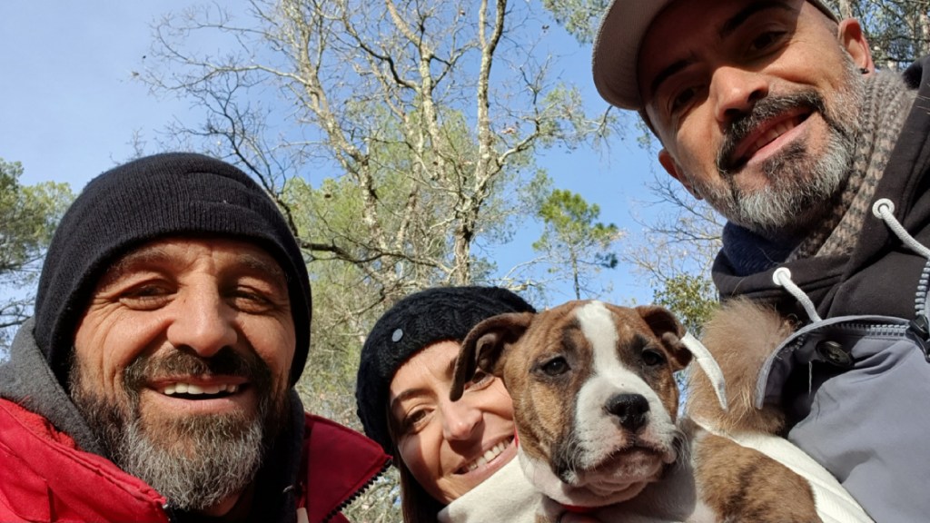 education canine var