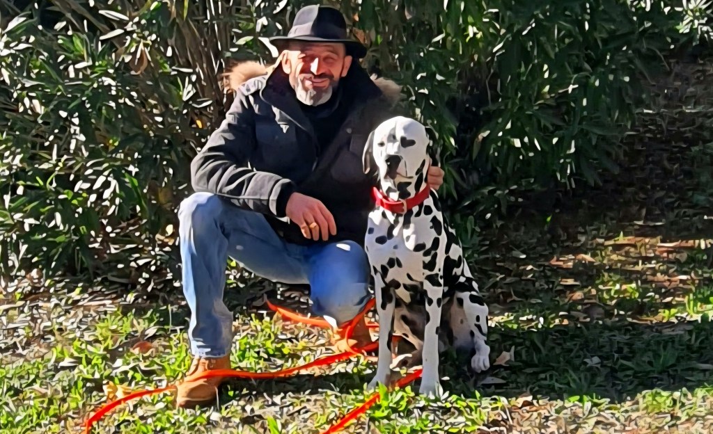 education canine paca