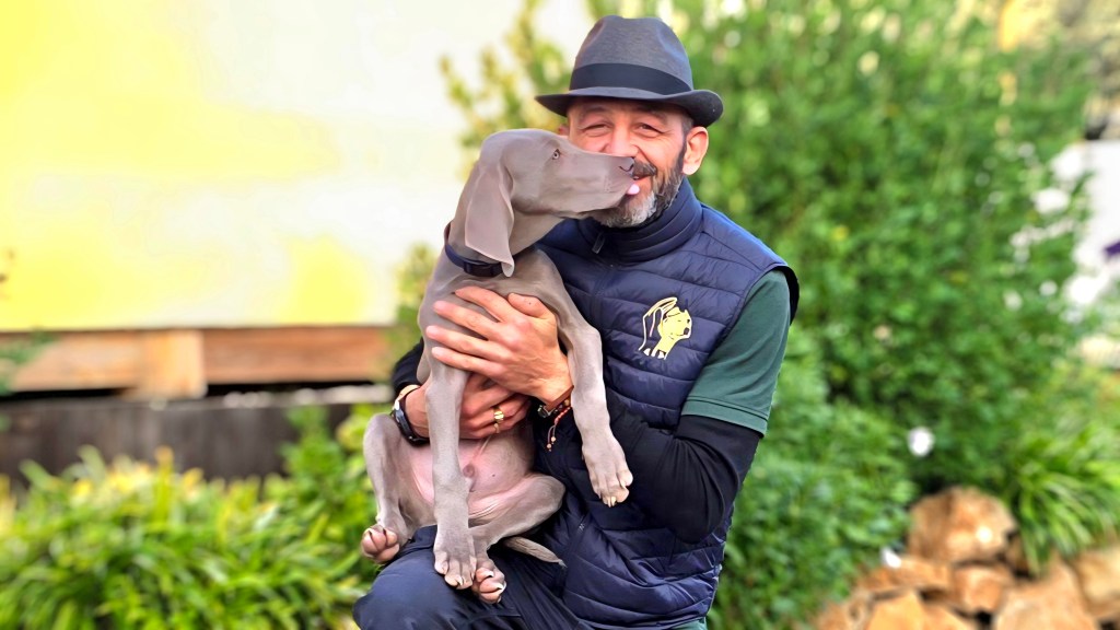 Les dangers des épillets chez le chien