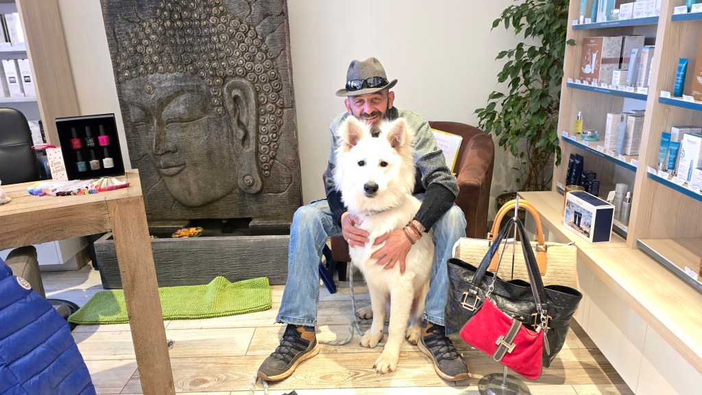 La phytothérapie… Soigner son chien avec les plantes