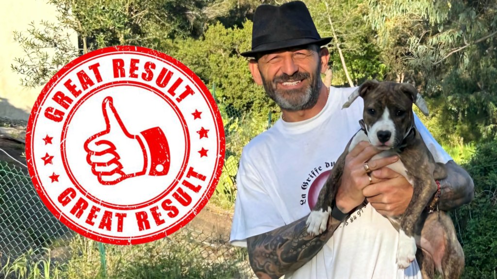 meilleur educateur canin var