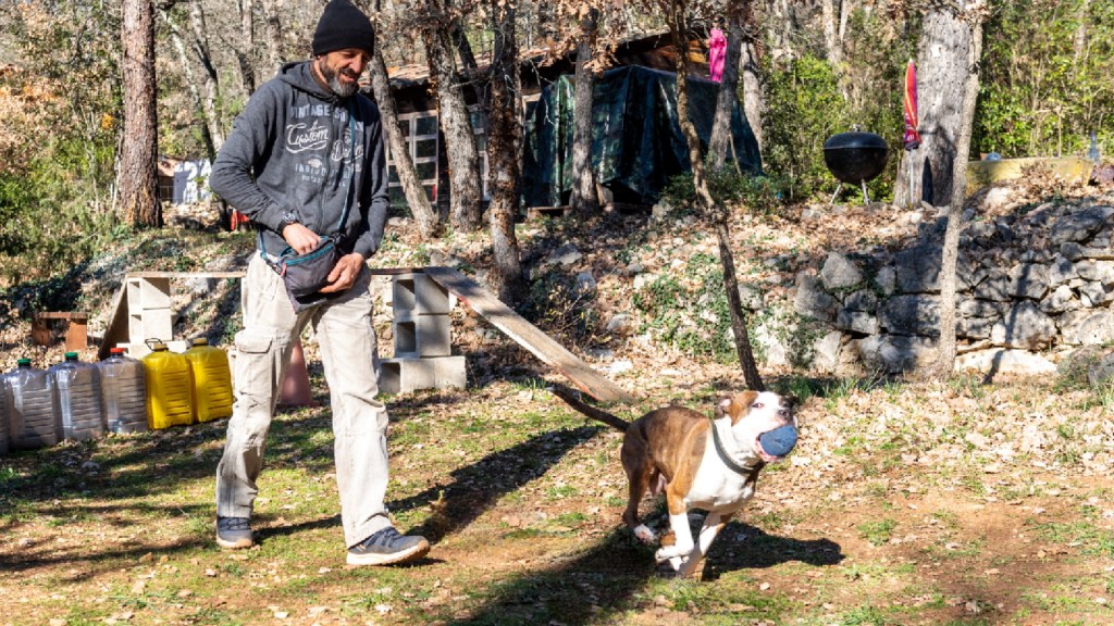 Faire chercher des objets à son&nbsp;chien…