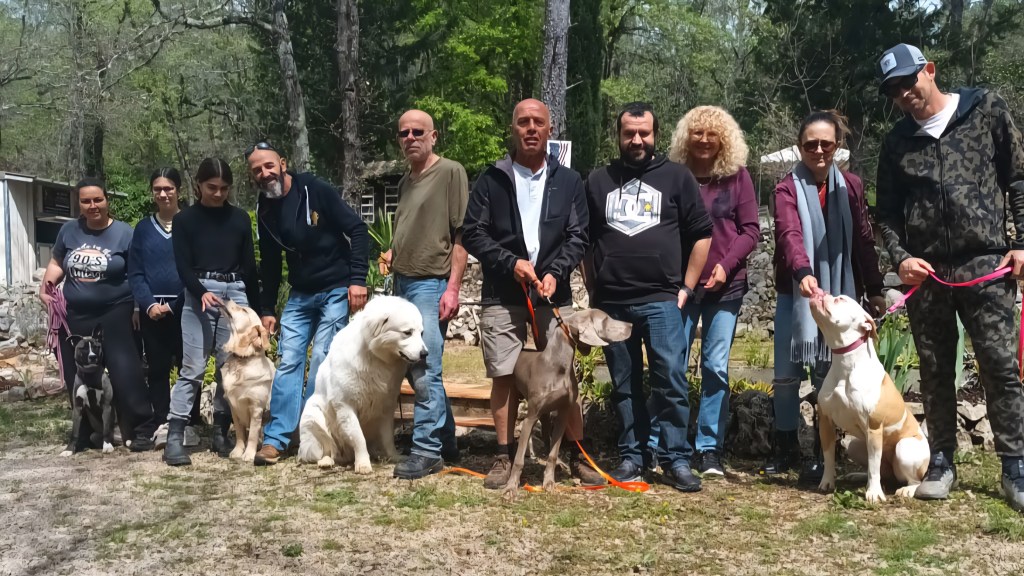 Séance d&rsquo;éducation canine le 12&nbsp;octobre