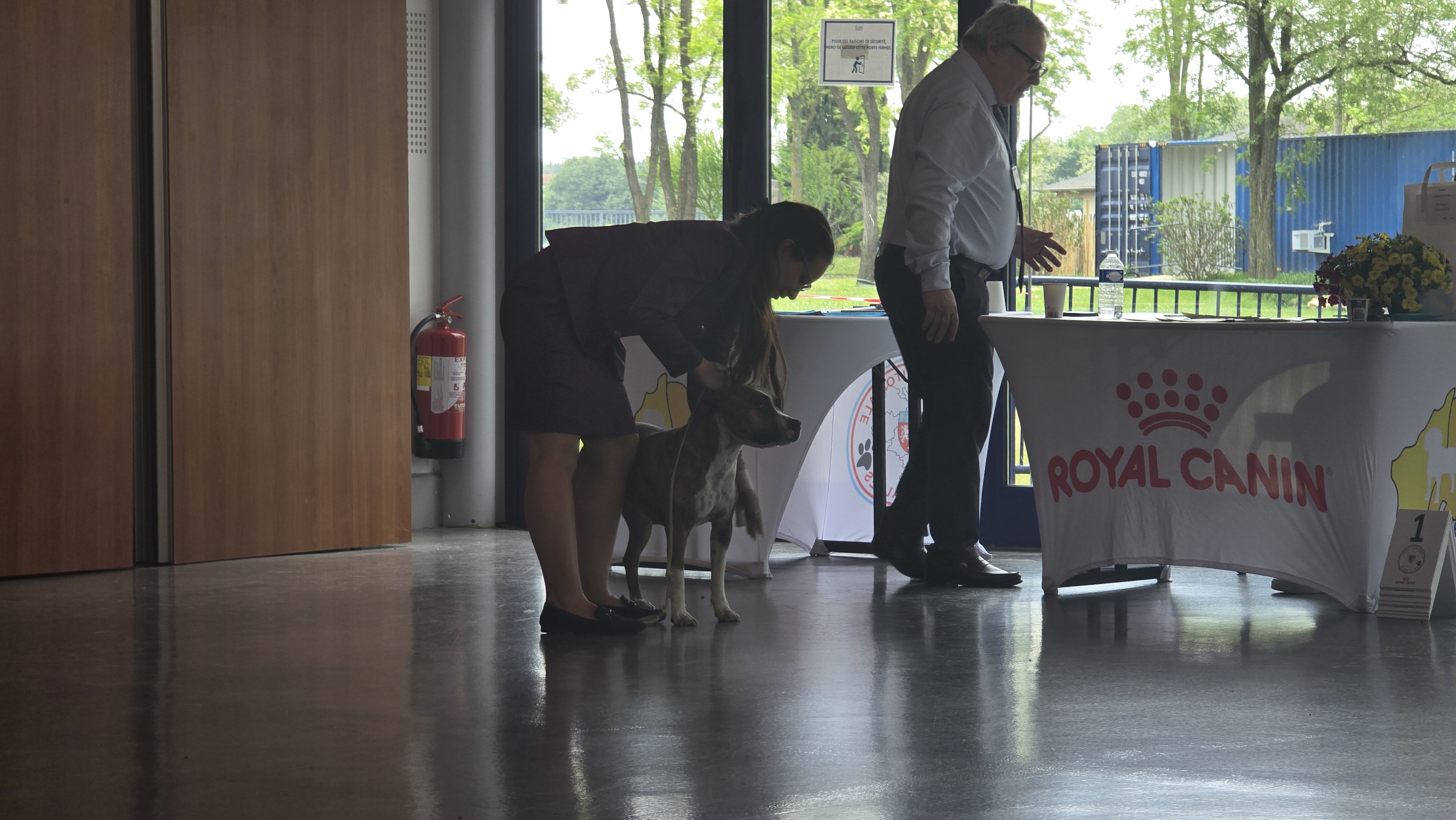 exposition canine internationale