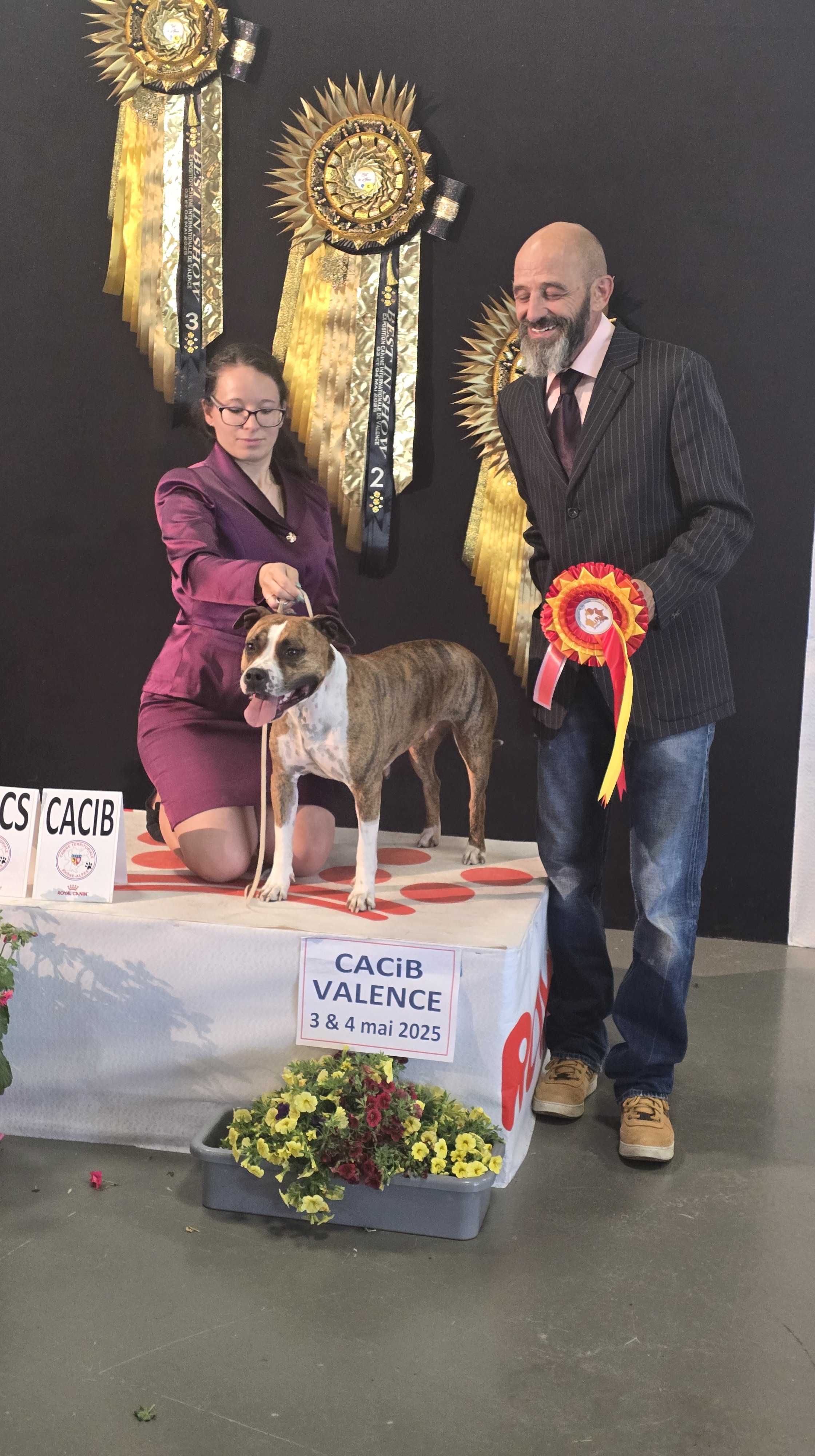 bretignier la griffe du dragon