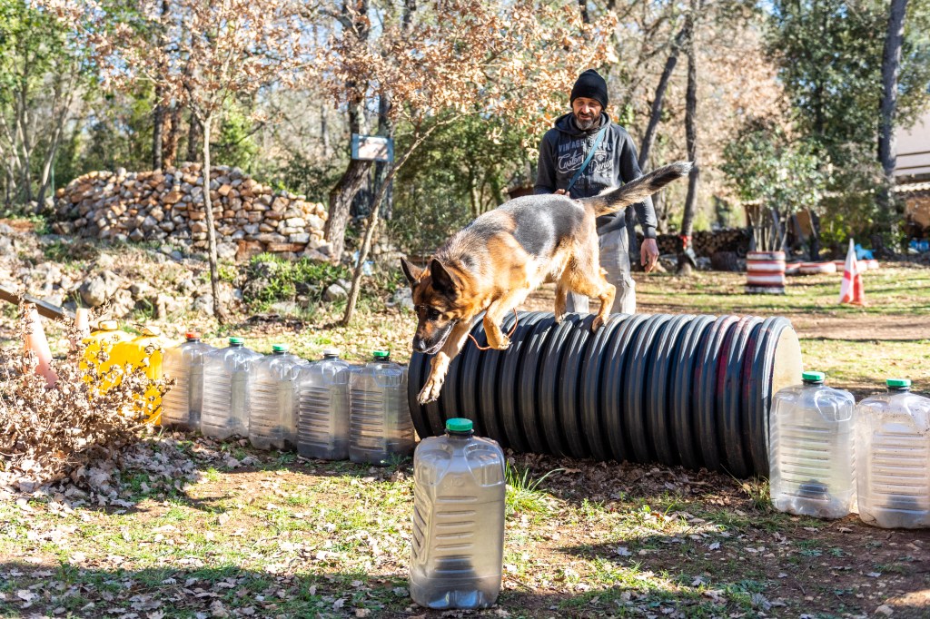 Interview Var Matin de Bretignier Anticipation&nbsp;Canine