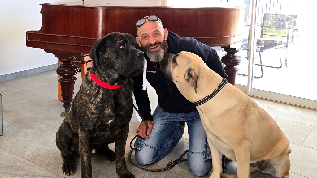 comportementaliste canin var