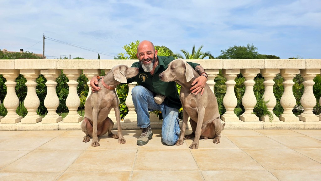 Nouvelle initiative pour vous aider avec votre chien : Le&nbsp;quiz