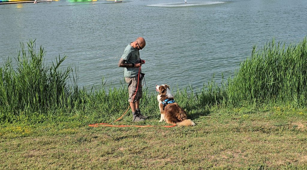 Quiz : Question test&nbsp;2