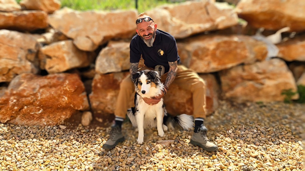 La phytothérapie pour traiter la peau et le poil du chien