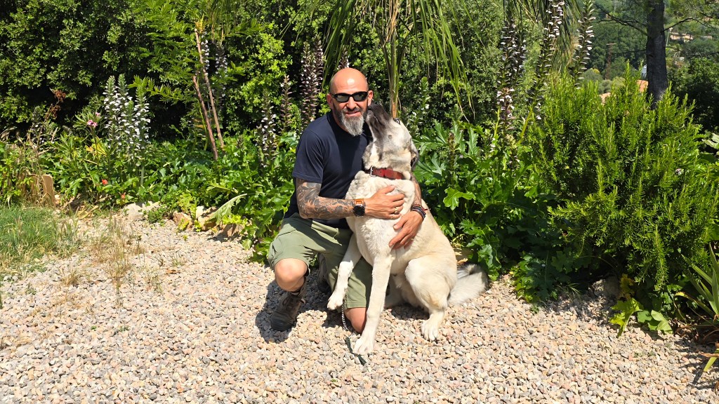 education canine draguignan