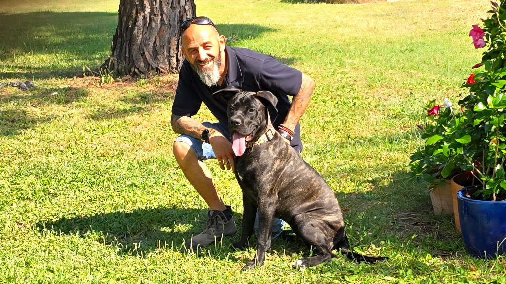 education canine la croix valmer